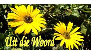 Die wonderwerk van Josef se geloof